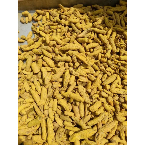 Dried Turmeric Finger