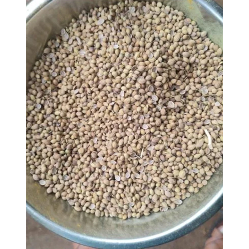 Organic Broken Coriander Seeds - Color: Brown