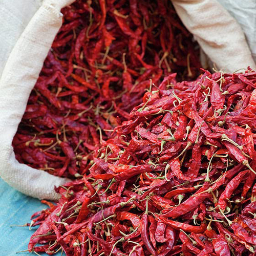 Fresh Dry Red Chilli