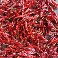 Fresh Dry Red Chilli