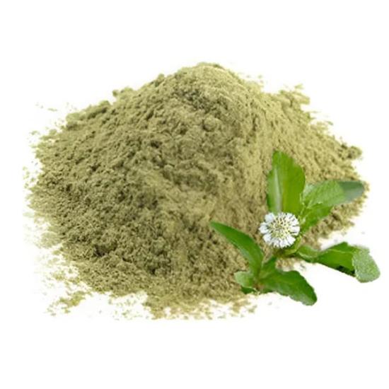 Eclipta Prostrata Extract - Grade: Pharma & Food Grade
