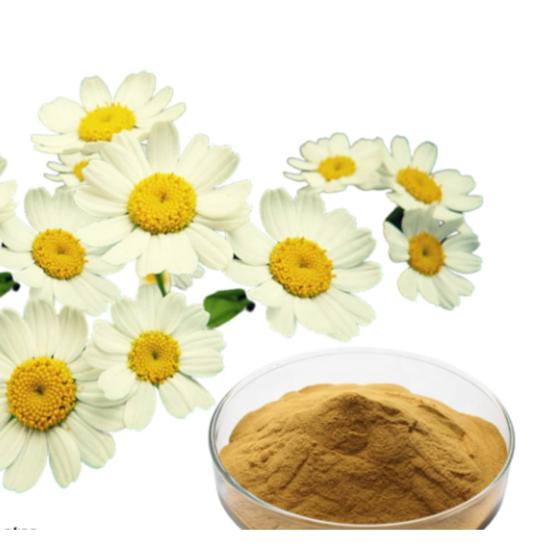 Feverfew Extract - Grade: Pharma & Food Grade