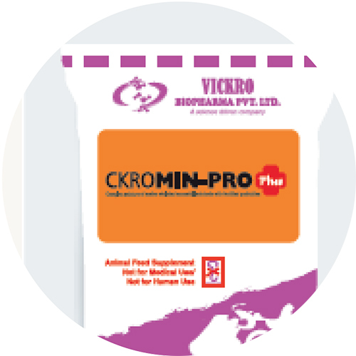 CKROMIN Pro