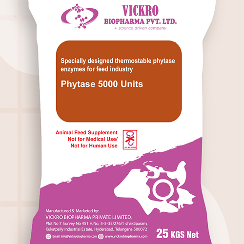 Phytase Enzyme