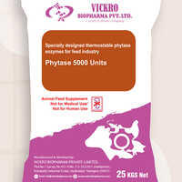 Phytase Enzyme