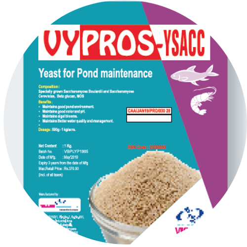 DRY YEAST