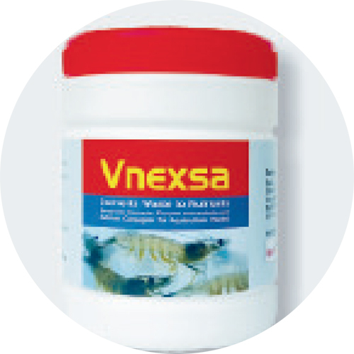 ENZYME CONCENTRATE