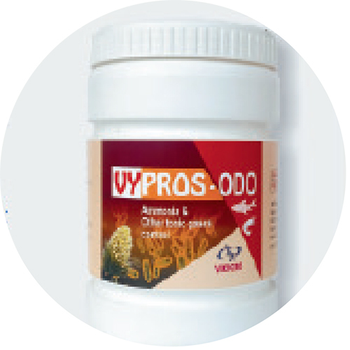 AMMONIA CONTROL PROBIOTIC