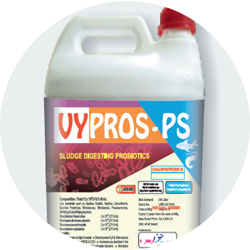 Sludge Digesting Probiotics - Grade: Feed Grade