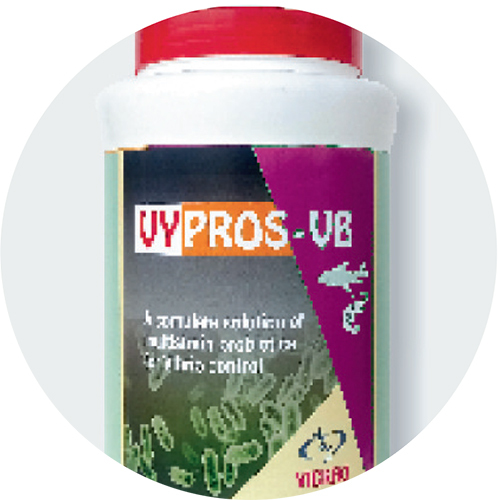 VIBRIO CONTROL