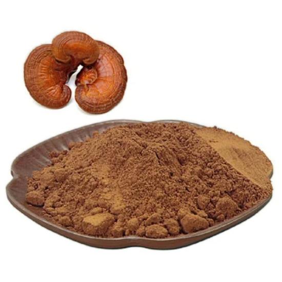 Ganoderma Lucidum Extract - Grade: Pharma & Food Grade