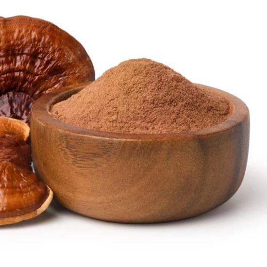 Reishi Mushroom Extract