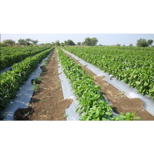 Black Agricultural Mulching Sheets