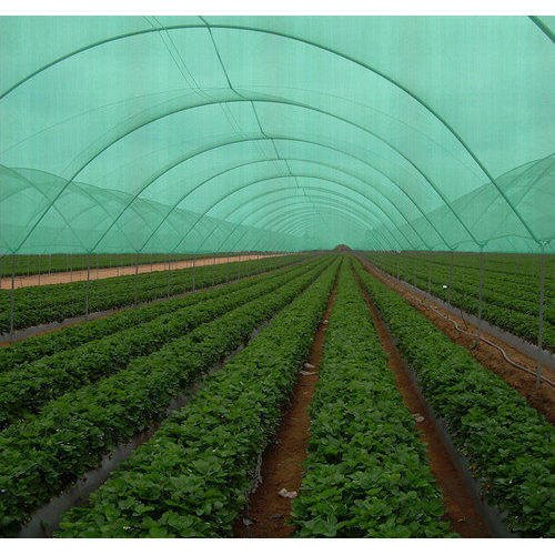 Black Agricultural Mulching Sheets