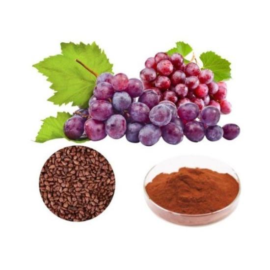 Grape Fruit Extract