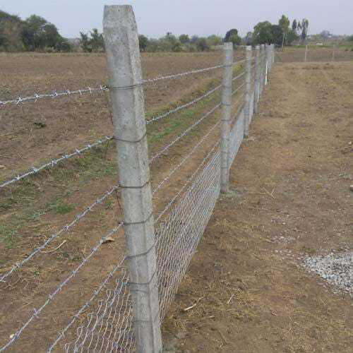 Metal Barbad Wire