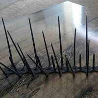 Pigeon Bird Spikes