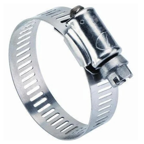 Worm Drive Clamp - Color: Silver