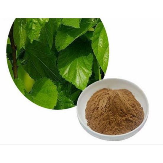 Mulberry Leaf Extract - Morus Alba L. Extract Powder, 100% Natural Herbal Concentrate for Food, Pharma, and Cosmetic Applications