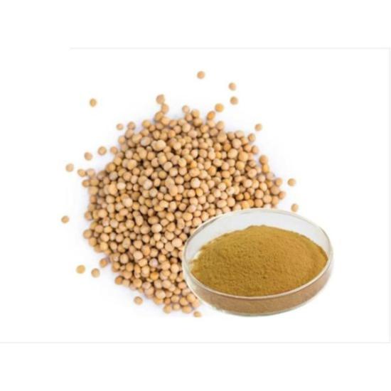 Mustard Seed Extract 