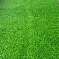 Carpets Artificial Green Grass