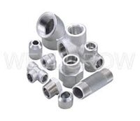 Forged Pipe Reducer - Finishing: Mirror Polish