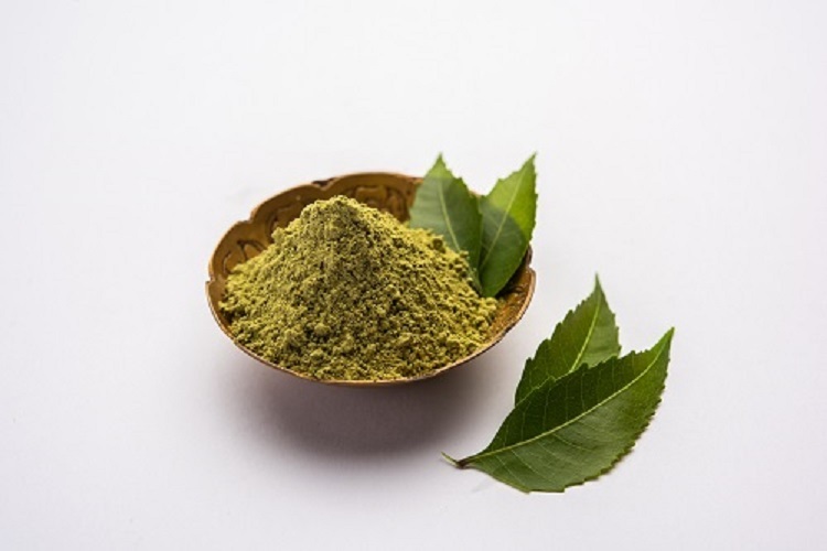 Neem Leaves Powder - 100% Natural, 25 Kg Pack Size | Antibacterial And Antifungal Benefits For Skin, Hair, And Wellness