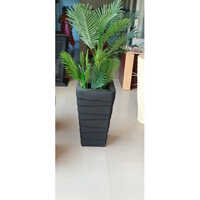 White Rectangular Frp Planter - Color: Black