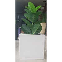 Frp Pots Planter - White Frp Material, Indoor & Outdoor Use | Versatile Design For Home And Garden Decor