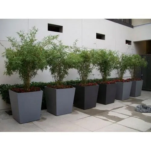 FRP Hotel Planter