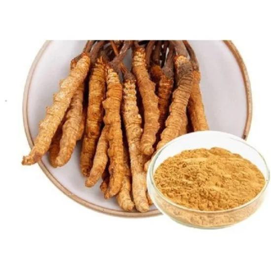 Caterpillar Fungus Extract - High-potency Cordyceps Powder, Supports Strength, Stress Relief, Anti-inflammatory, Antioxidant, Immunomodulatory Properties