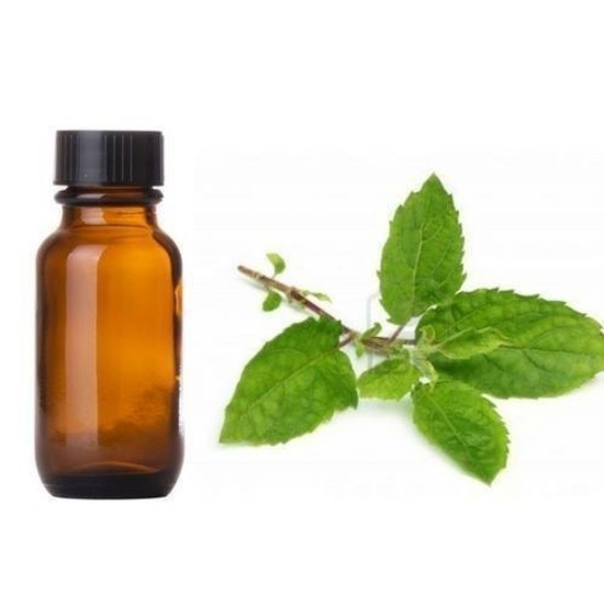 Panch Tulsi Oil - Age Group: Adults