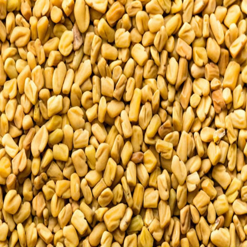 Medium Size Fenugreek Seeds