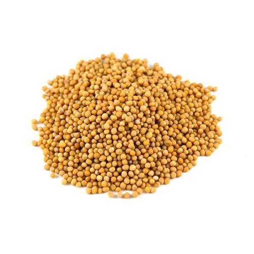 Yellow Mustard Seeds