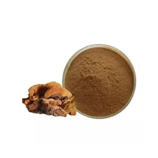 Phellinus Mushroom Extract