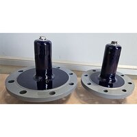 Glass Lined Column Sensor Thermowell - Application: Industrial
