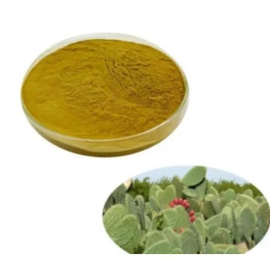 Opuntia Ficus Indica Extract