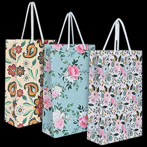 Printed Gift Paper Bag - Color: Multicolor