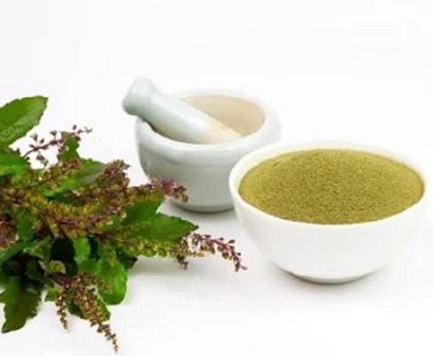 Tulsi Powder - Pack Size: 25
