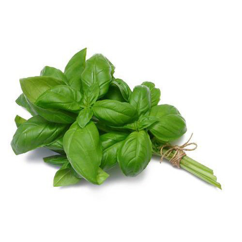 Basil Italian