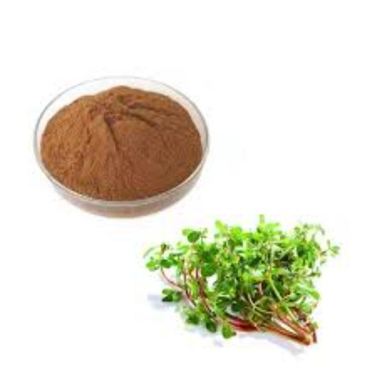 Portulaca Grandiflora Extract 