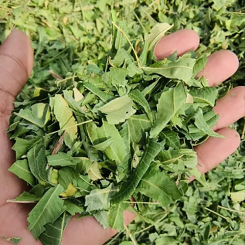 Neem Leaves Powder - Product Type: Herbal Product