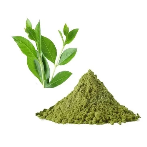 Henna Leaf Extract - Premium Herbal Powder , Industrial-Grade for Cosmetic and Textile Applications
