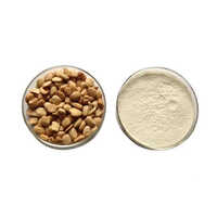 Imli Seed Powder - Organic, White Powder, 12 Months Shelf Life | Versatile Industrial Ingredient For Food, Pharmaceutical, And Agricultural Use