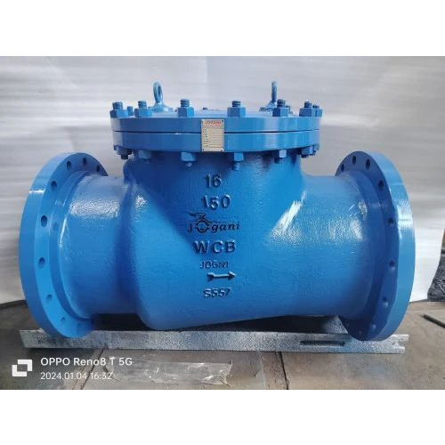 Swing Check Valve - Application: Industrial