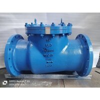 Swing Check Valve - Application: Industrial
