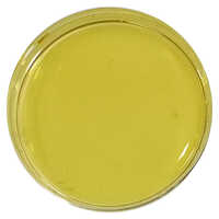 Yellow Liquid Masterbatch - Grade: A