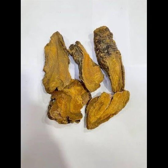 Revand Chini Extract - Grade: Pharma & Food Grade