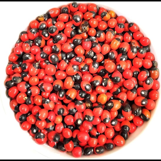 Rosary Pea Extract (abrus Precatorius) - Color: Brown