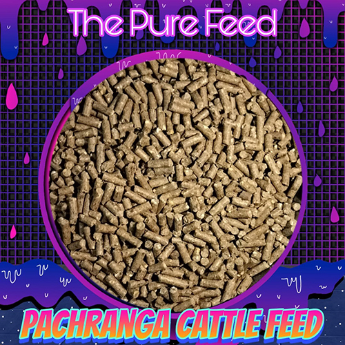 Pachranga Cattle Feed Super Gold